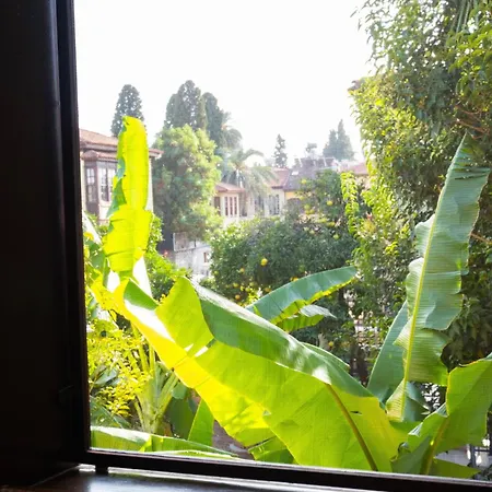 Saye House Antalya
